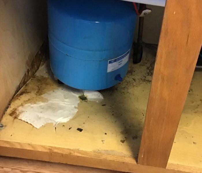 water damage below sink