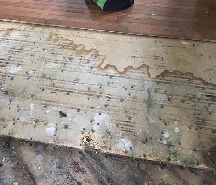 flooring damage